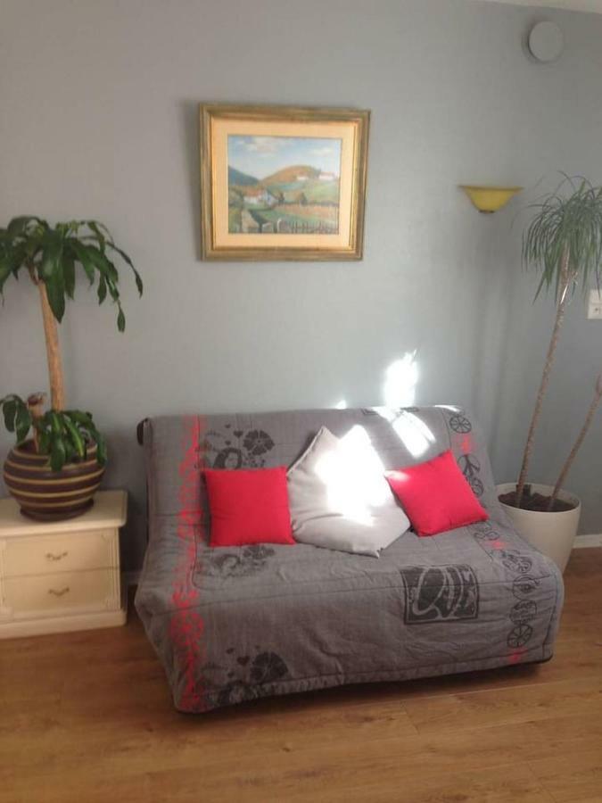 Petit Appartement Douillet Tres Bien Situe Biarritz Buitenkant foto